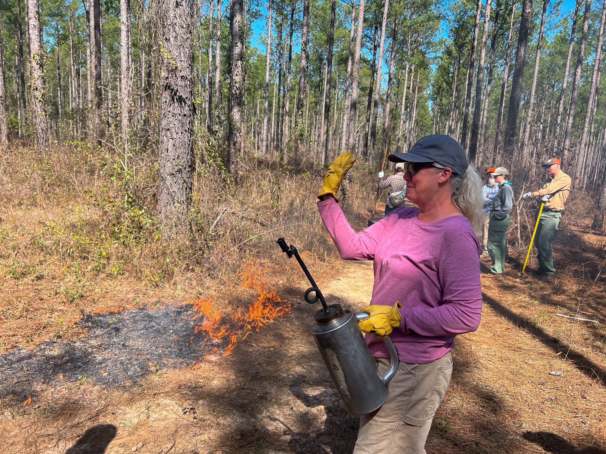 Tall Timbers leading the way on prescribed fire insurance - Tall